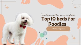 Top 10 beds for Poodle | The Shocking Truth About top 10 beds for Poodle | Pet Knowledge Zone #dogs by Pet Knowledge Zone 9 views 1 year ago 4 minutes, 25 seconds