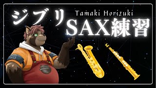 【サックス練習】ジブリの曲を弾けるようになりたいたまき！#shorts #ケモV #Furry