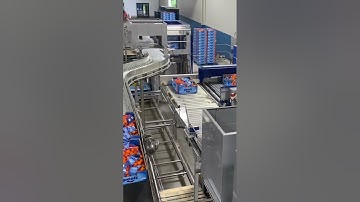 Automated palletizing in-feed system