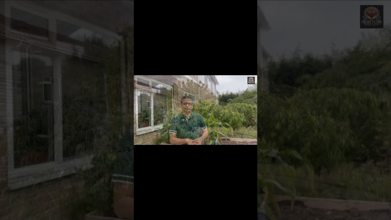 Green Living, Even in Care