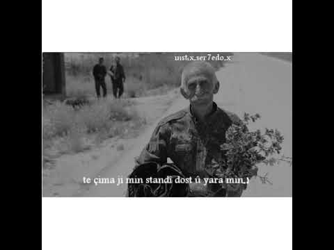 اجمل حالات واتساب كردية حزينة وي فلكي بلكي مالا ته خرابي شاهد ولن تندم 