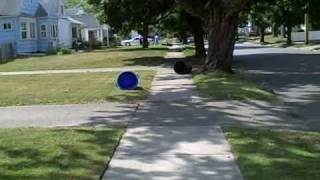 Garbage Day In Toledo