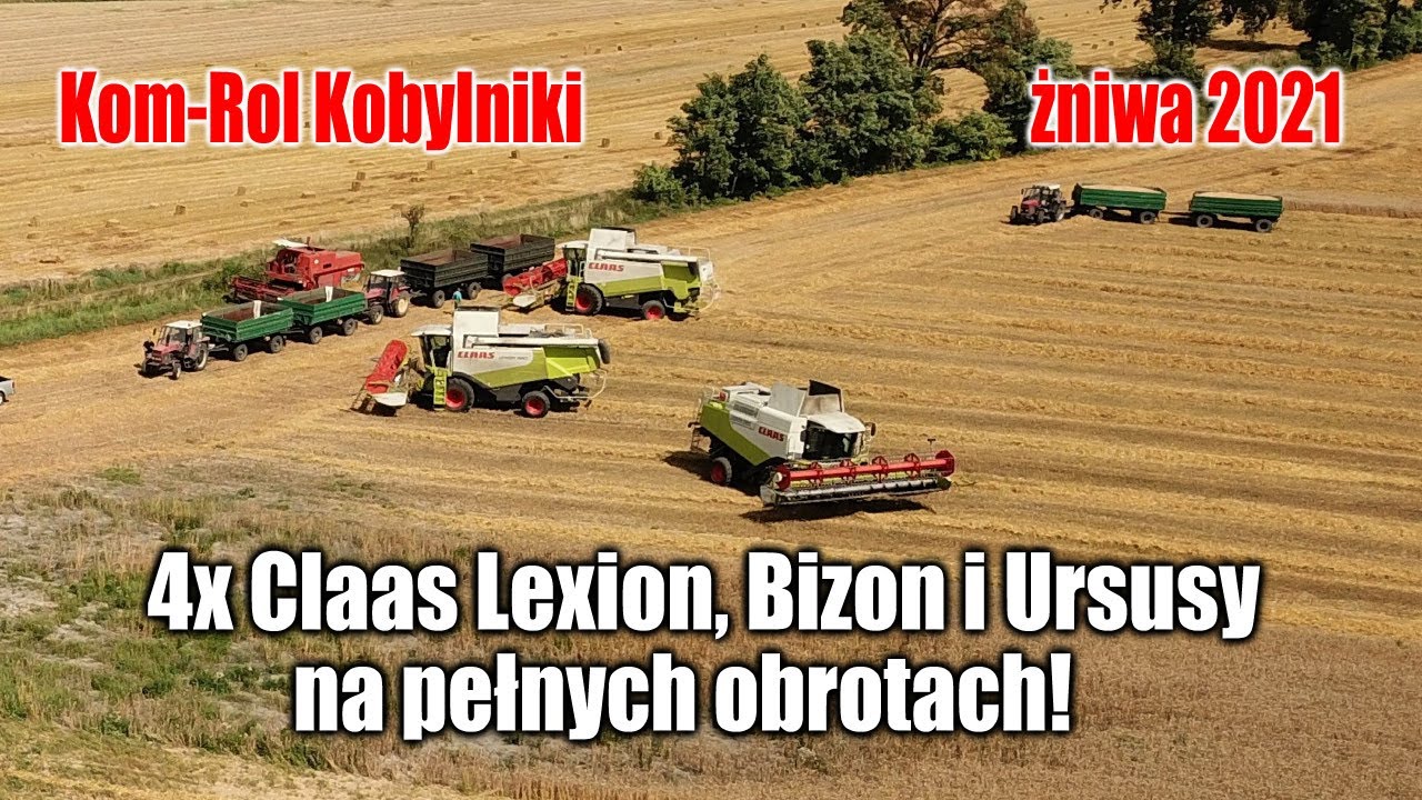 maxresdefault Żniwa 2021 w Kom Rol Kobylniki, 4x Claas Lexion, Bizon i Ursusy na pełnych obrotach!   VIDEO