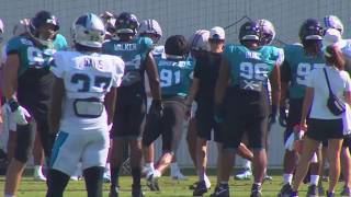 Jacksonville Jaguars hold joint practice with Panthers