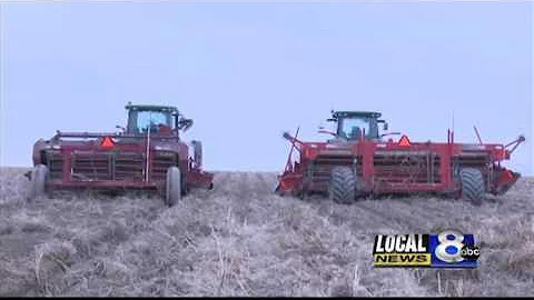 Weather creates trouble for potato farmers and student