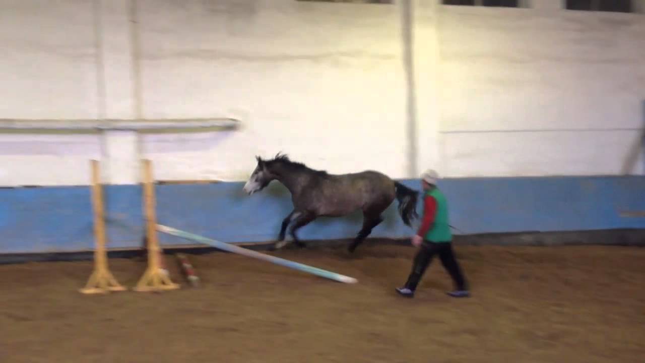 Калифорния 