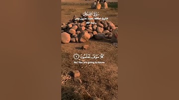سورة التكاثر مكتوبة _ الشيخ الحافظ _ محمد حسين عامر رحمه الله