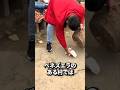 動物をこんなにしてもいいですか？？