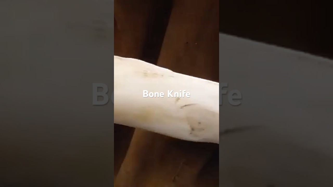 Bone Knife 