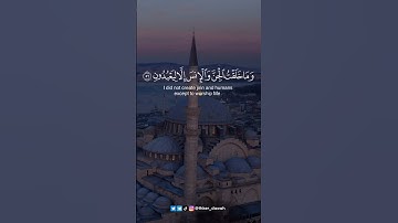 (وذكر فإن الذكرى تنفع المؤمنين..) آيات بصوت جميل | حالات واتساب