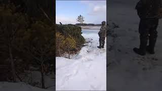 (2024) Гусиная охота.Перезагрузка батареек../Goose hunting. Reloading batteries..