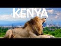 Kenya, regatul animalelor grandioase