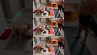 Real Life Family Yoga Practice | Two Hours of Chaos and Calm 🏠