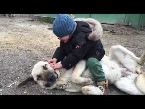 KANGAL VE ÇOCUK