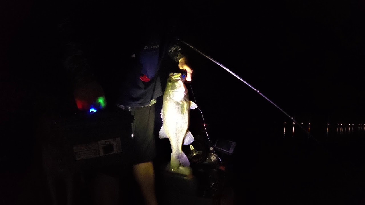 La Cygne Night Fishing August 19th 2019 YouTube