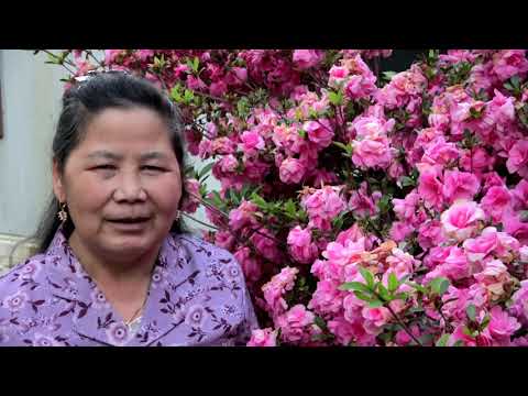 Video: Yam Khoom Yooj Yim Uas Ua Rau Peb Muaj Zog