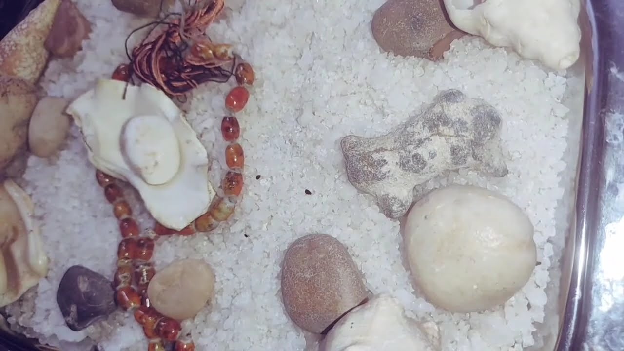 برج الاسد ♌عد الصبر جايك حقك بس أنت مستعد المفاجآت وعلاقات بتتكشف قدامك #القارئه_ام_احمد