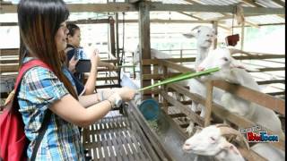 Pucs Usm 迎新宣传短片2015 Trial