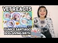 Vet Student explains @Eunice Santiago dog giving birth + Metritis FACTS