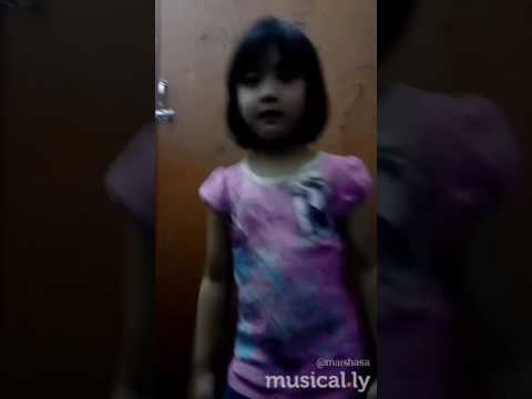 Musicaly