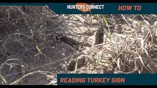 How to Read Turkey Sign