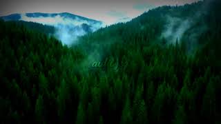 Download Lagu slow western dj is leuk om relaxed te horen + de beste ter wereld MP3 Download Lagu slow western dj is leuk om relaxed te horen + de beste ter wereld MP3