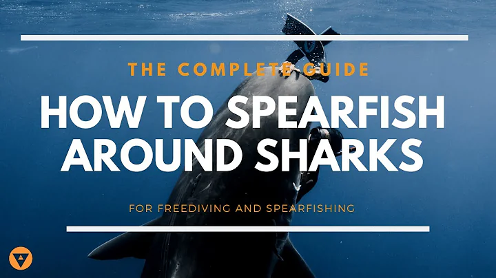 The Complete Guide | How To Spearfish Around Sharks