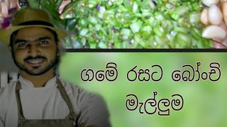 bonchi malluma ගමේ රසට බෝංචි මැල්ලුම