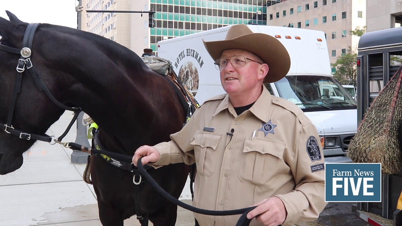FN5 Daily: Saddle up with Clare County Sherriff’s mounted unit