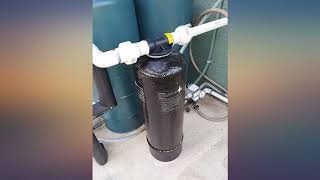 AO Smith Whole House Water Filtration System Single-Stage Carbon - Reduces 97% of review