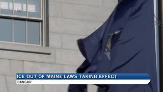 New laws taking effect that limit state involvement in immigration operations