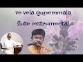 Ve vela goppemala  flute instrumental  nagaraju talluri