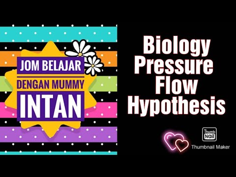 Pressure Flow Hypothesis