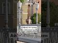 Айфону не нужен стабилизатор