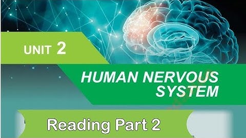 General Science class 8|| Unit 2 || Human Nervous System || nbf