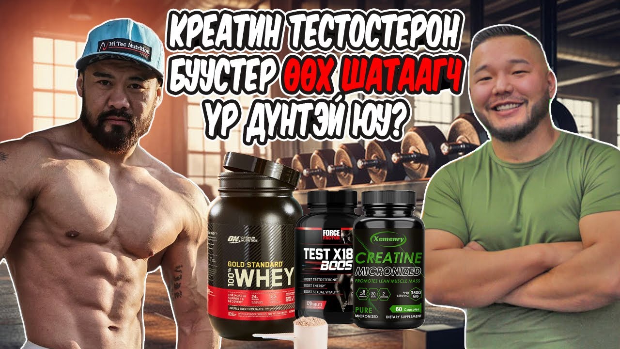 Тестобуустер, Креатин, Глутамин, Өөх шатаагч, Үений шингэн нөхөгч, Мальтодекстрин,Л-карнитин хэр вэ?