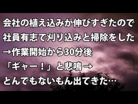 【修羅場　衝撃】会社の植え込みが伸びすぎたので社員有志で刈り込みと掃除をした → 作業開始から30分後、「ギャー！」と悲鳴 → とんでもないもん出てきた… 【修羅場・衝撃体験をお送