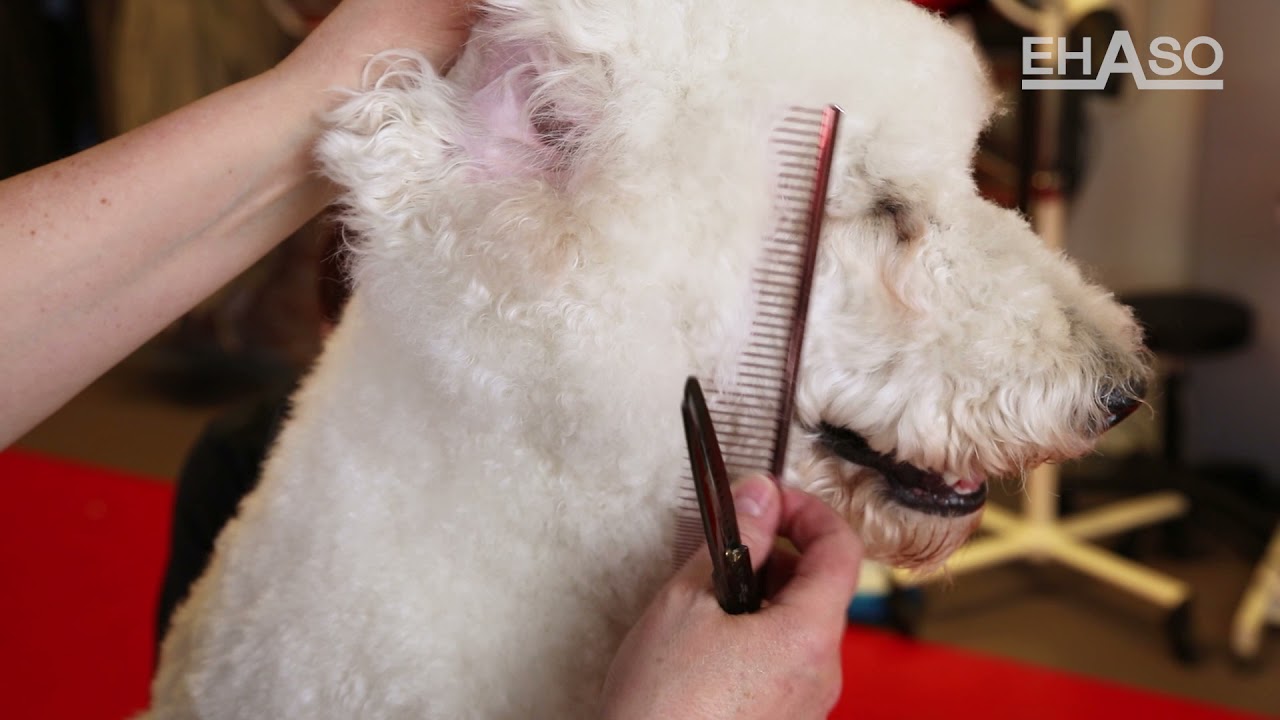 Gebogene Grooming Combs | EHASO