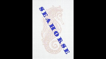 detailed seahorse time lapse 8.7x pen plotter