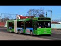 Молодечно. Поездка в автобусе МАЗ-105.465, Г/№ AK 0656-5, маршрут №2 (11.03.2023)