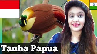 Indian Reaction || Tanha : Papua A Paradise For Birds || INDONESIA || Bear My Reaction 🐻