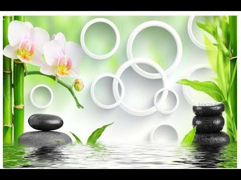 Download 4000 Wallpaper Cantik Elegan Terbaru Download 4000 Wallpaper Cantik Elegan Terbaru