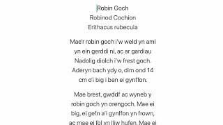 Adar yr Ardd: Robin Goch — Speed Read Profile