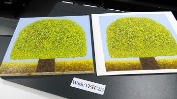WideTEK 25 Art Scanner Review