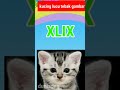 kucing lucu tebak gambar angka romawi #shorts #kucinglucu #tebakgambar #belajarangka