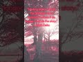 #love #motivation #quotes #dothingsyoudontwanttodo #youareoneofakind #life #chilllofi #diy #fyp