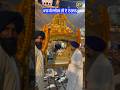 Palki Sahib Ji De Darshan at Sri Harmandir Sahib 🙏✨ #shorts #darbarsahib #goldentemple #shortsfeed