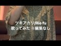 ツキアカリ/Rie fu【カラオケ廃人が歌ってみた 編集なしそのまま】