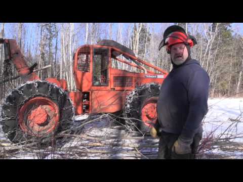 Skidder tracks