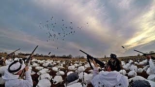 Goose Hunting in 30+ MPH Winds! - Trafficking Lessers and Snow Geese